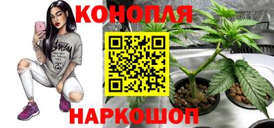 каннабис Кунгур