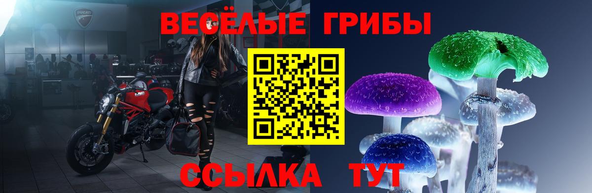 Киселёвск  Галлюциногенные грибы Psilocybe  Вход с VPN 